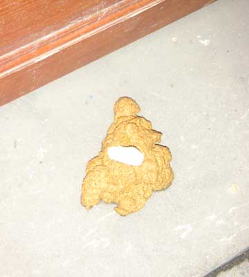 PICT0023